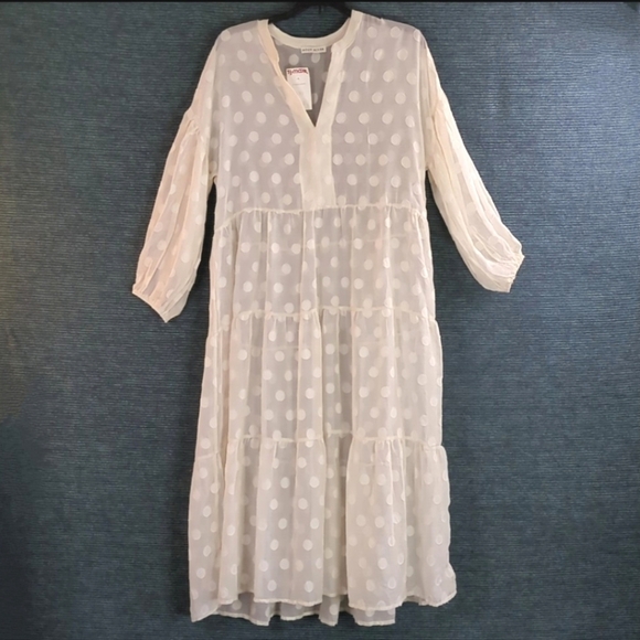 Moon River Sheer Polkadot Tiered Dress - Picture 5 of 13